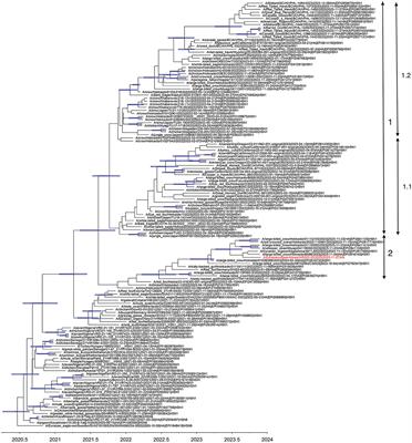 Index case of H5N1 clade 2.3.4.4b highly pathogenic avian influenza virus in wild birds, South Korea, November 2023